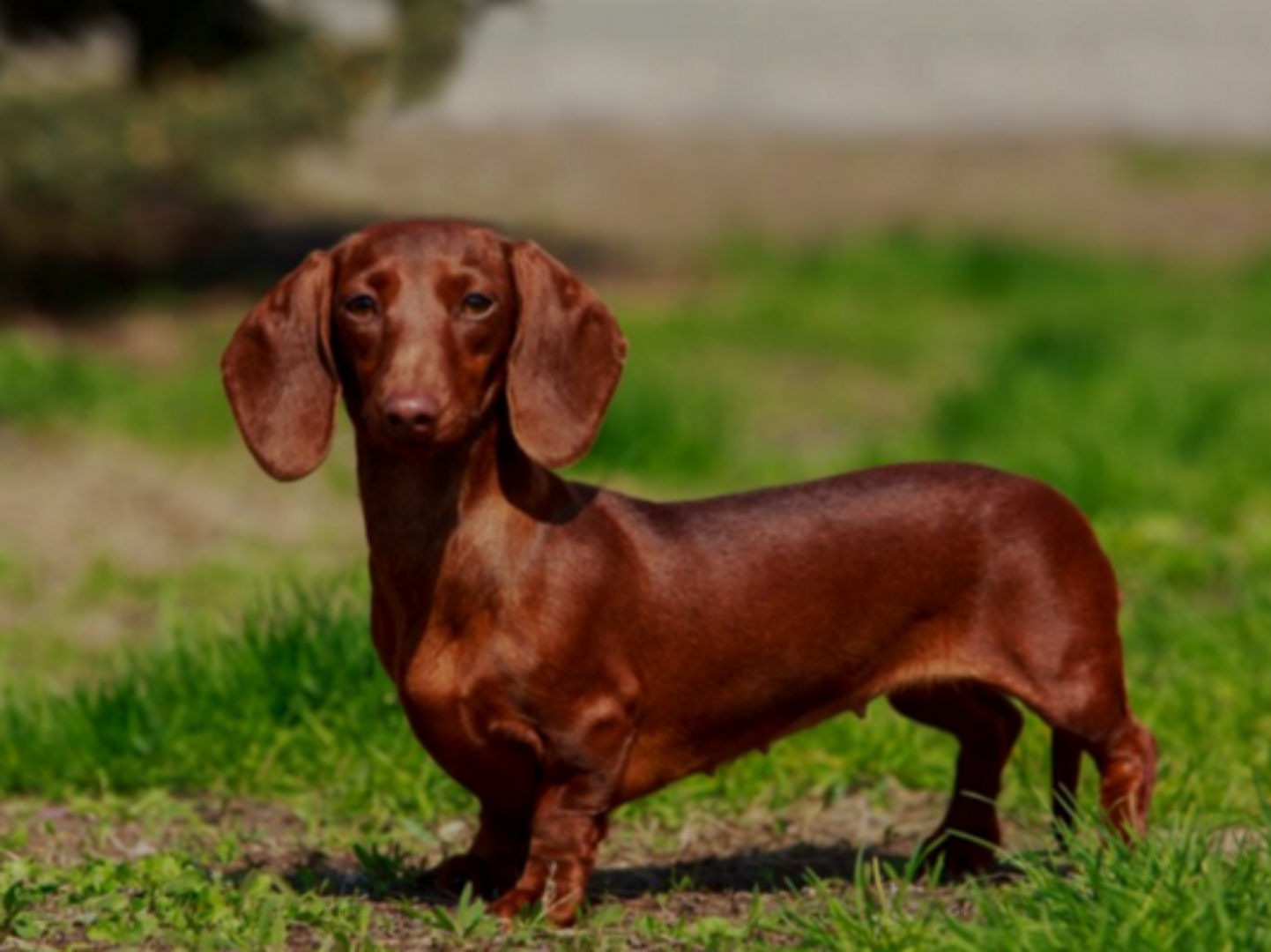 Dłuuuugi pobyt -10%